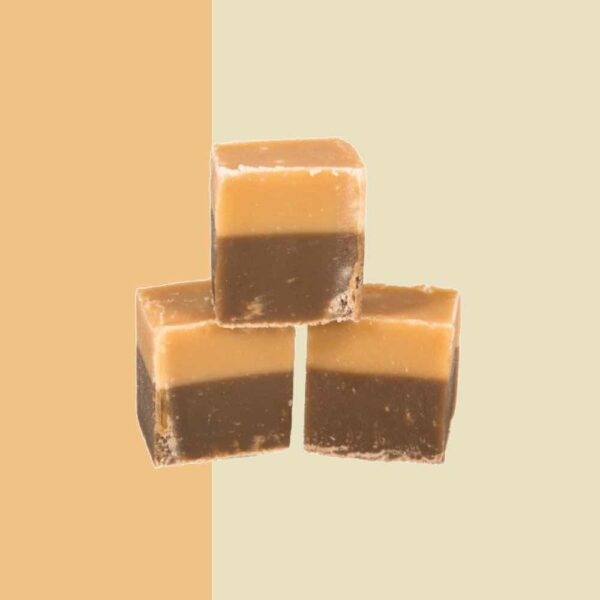 Fudge Factory Chocolate & Vanilla 2kg Bulk Box