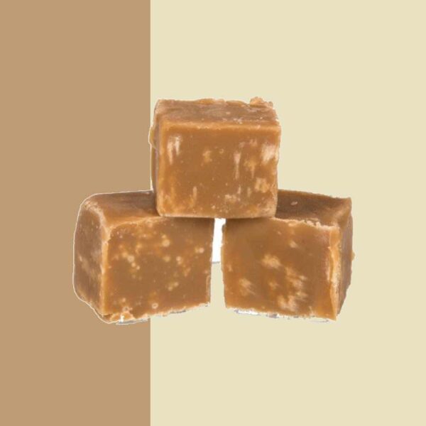 Fudge Factory Dairy Free Salted Caramel 2kg Bulk Box