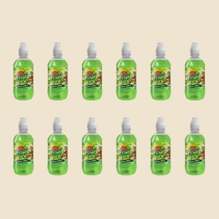 Fruity Joy Sour Apple Drink 330ml x12