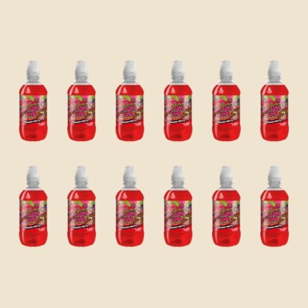 Fruity Joy Summer Fruits 330ml x12
