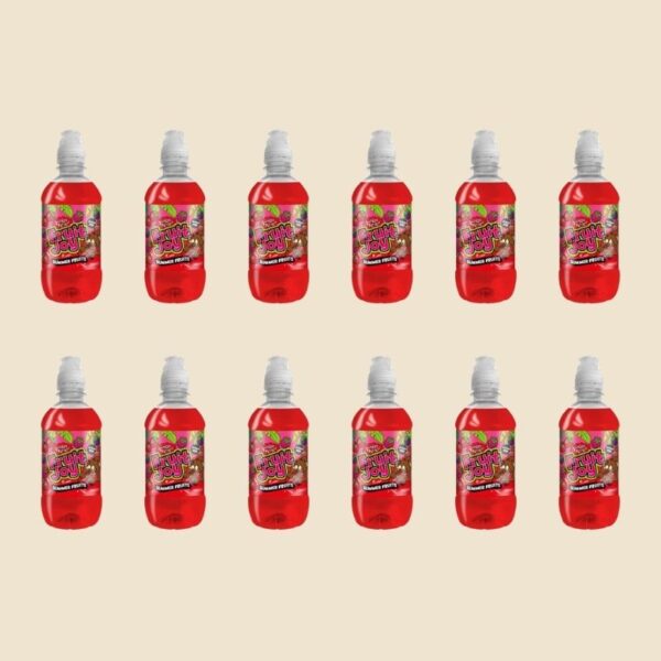 Fruity Joy Summer Fruits 330ml x12