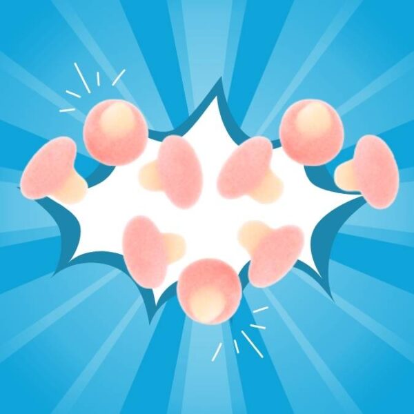 Dulceplus Mini Sugared Pink and White Mushrooms 1kg