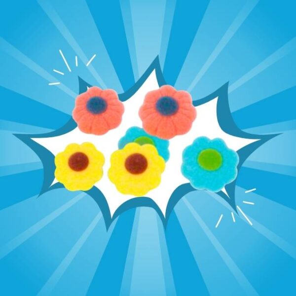 Dulceplus Assorted Sugared Flowers 1kg