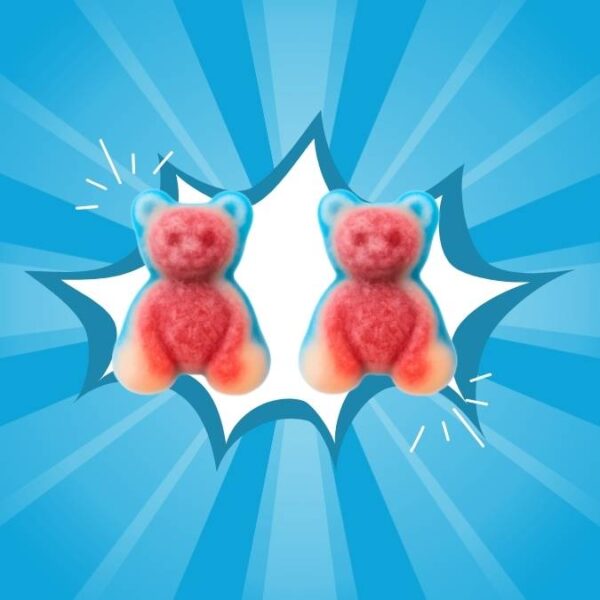 Dulceplus Jelly Filled Bears 1kg