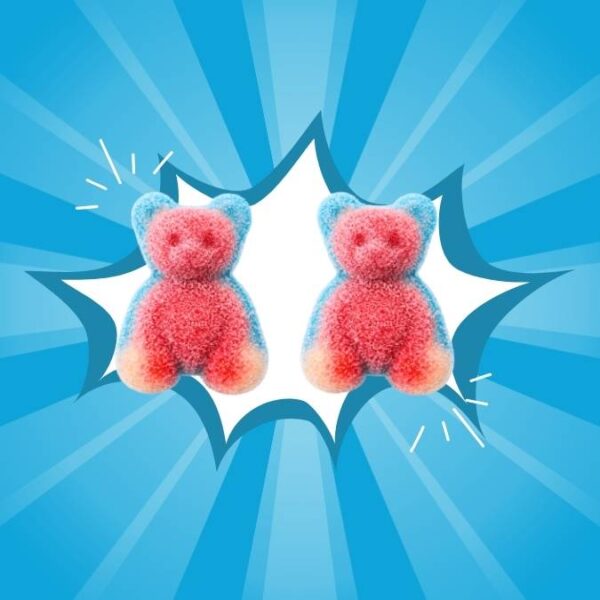 Dulceplus Fizzy Filled Bears 1kg